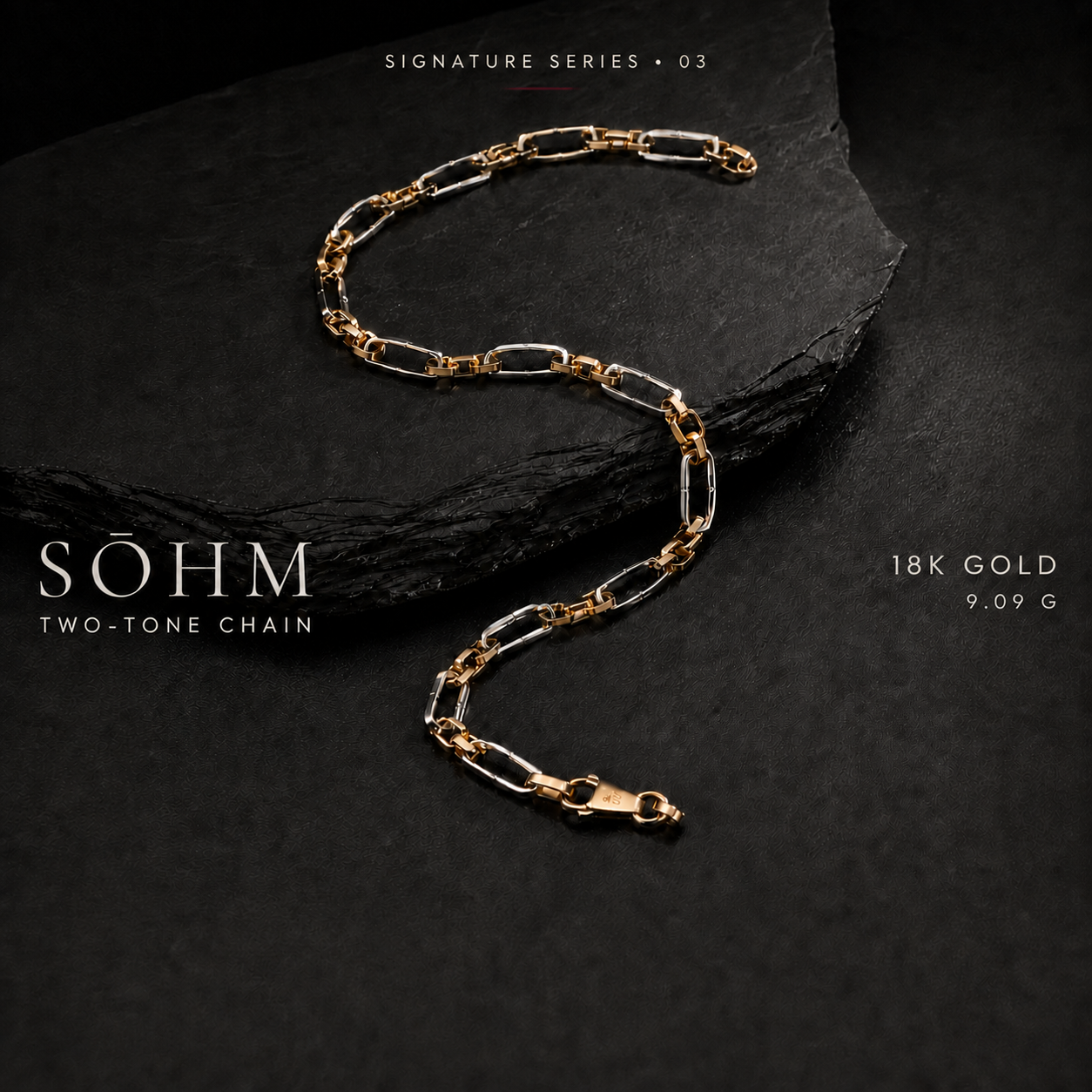 SŌHM Signature Two-Tone Chain 03