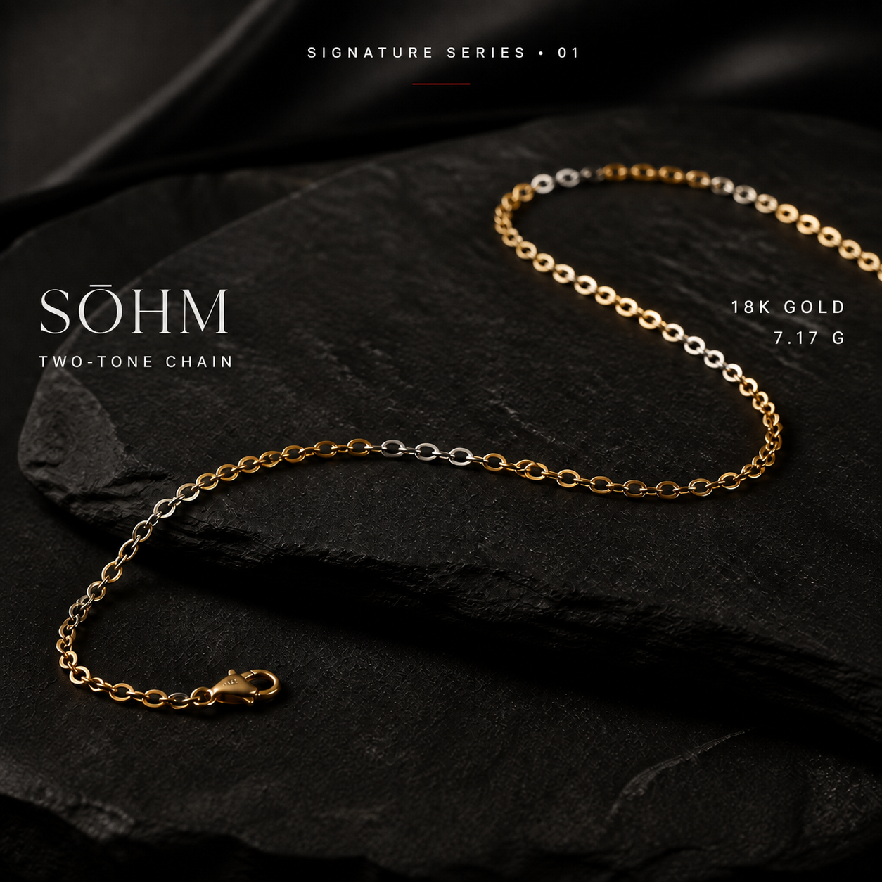 SŌHM Signature Two-Tone Chain 01